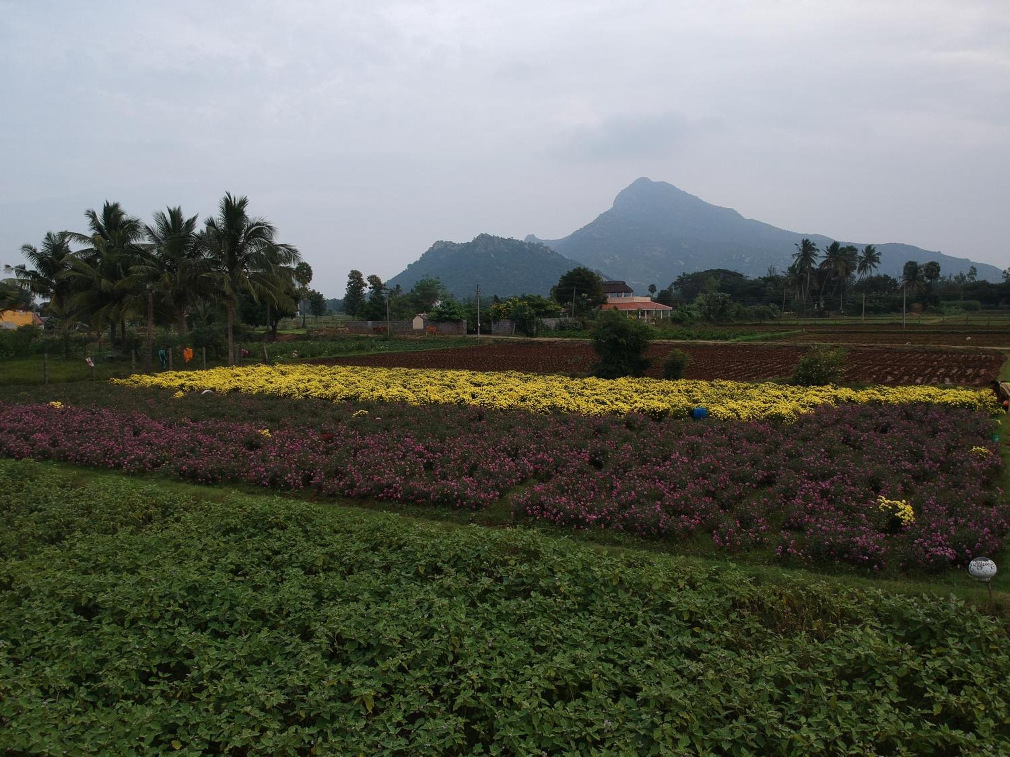 Rpm Home Stay Tiruvannāmalai Exterior photo